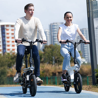 U1 Folding Electric Bike 250W