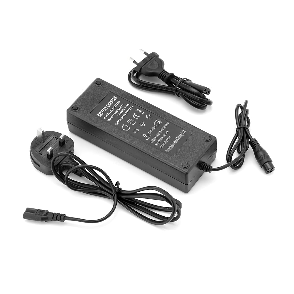 Iscooter hoverboard charger sale